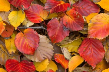 A repeating texture of leafes