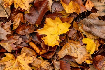 A repeating texture of leafes