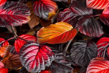 Fototapeta premium A repeating texture of leafes