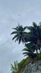 Beautiful landscapes of Pacific Ocean