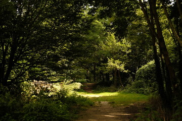 Obraz premium Paris, France