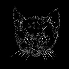 Graphic kitten head on black background. Graphic design on a t-shirt. hand drawing. Not AI, Vector illustration.