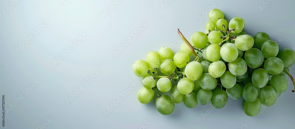 Poster green grapes on a white backdrop. copy space image. place for adding text and design