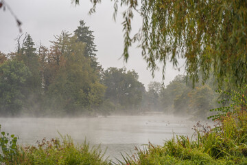 Insel im Herbstregen