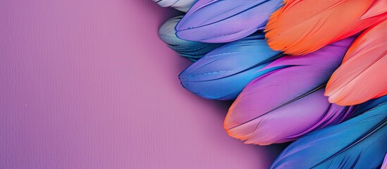 Obraz premium Background of vividly colored dyed bird feathers on a colored backdrop top view Copy space