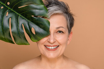 Closeup cropped portrait of a mature middle-aged woman with grey hair shirtless naked looking at camera covering her face with tropical leaf. Anti-age cosmetics for rejuvenation, anti-wrinkle effect
