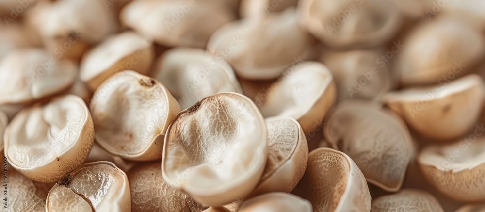 Poster close up of dried fava beans vicia faba a source of vegan protein. copy space image. place for addin