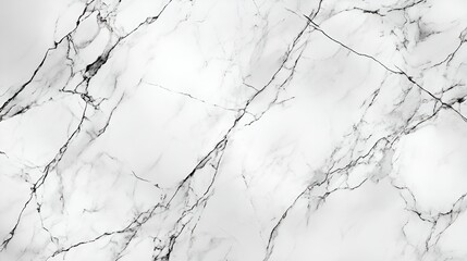 Striking black and white marble with bold veins and deep cracks