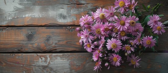 Fototapeta premium Asters arrangement on aged wooden surface. Copy space image. Place for adding text and design