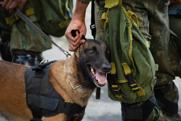 Army soldiers are seen with dogs during the celebration of Brazilian Independence Day. City of...