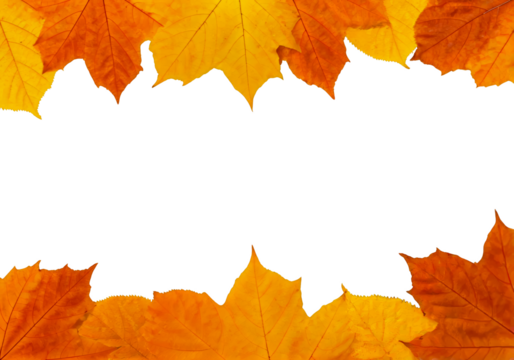 autumn falling leave isolated on white or transparent png cut off clip art
