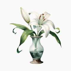 Elegant white lily in vase