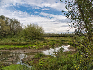 15 September 2024,  trees near  Vistula River in Warsaw, Poland.  Before the flood in 2024, low water level in the Vistula River in Warsaw.