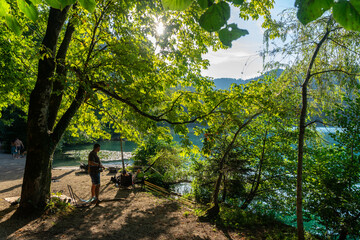 Fototapete bei efototapeten.de bestellen   