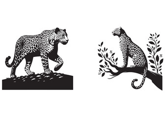 leopard animal vector silhouette, leopard silhouette, icon logo, leopard silhouette logo vector animals, leopard wild animal silhouettes on the white background
