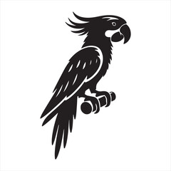 parrot silhouette vector