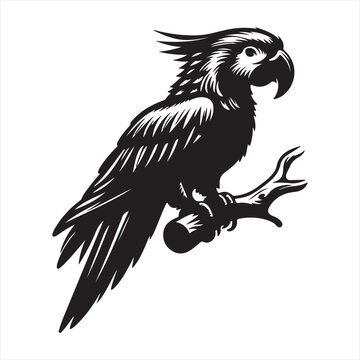 parrot silhouette vector