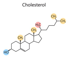 cholesterol molecular structure, chemical bonds and functional groups, biochemistry and medical research diagram hand drawn schematic raster illustration. Medical science educational illustration