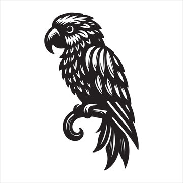 parrot silhouette vector