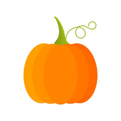 Orange pumpkin fruit with tendril. Autumn icon, PNG illustration.