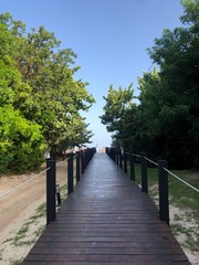 Obraz premium Bridge leading to the ocean on a resort in the summer on a clear summer day at the beach. Varadero, Cuba.