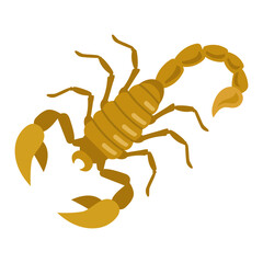 Brown scorpion on white background. Crustacean illustration.