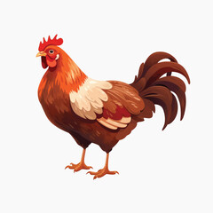 Colorful rooster illustration on white