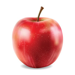 Realistic apple isolated white background, vector realistic, autumn illustration	