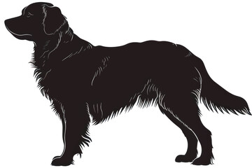 Silhouette of standing dog