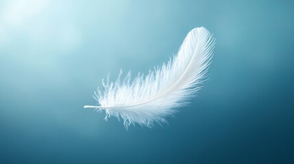 A depiction of a single white feather gracefully falling against a blue background, highlighting the softness of floating feathers © Orkhan