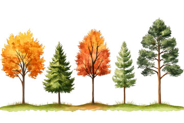 Naklejka premium autumn fall season forest woods nature trees on transparent background 