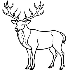 Elk with large, branching antlers and a proud stance line art vector