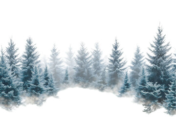 Obraz premium winter season forest nature trees