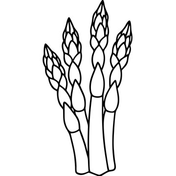 black and white asparagus stalks clip art preview