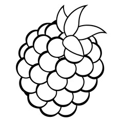 A black and white drawing of a blackberry. The raspberry is shown in a close up and is surrounded by a bunch of other raspberries. The drawing is simple and clean