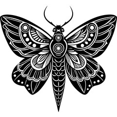 Moth with detailed wings and intricate patterns on its body vector