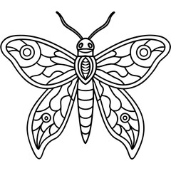 Moth with detailed wings and intricate patterns on its body vector