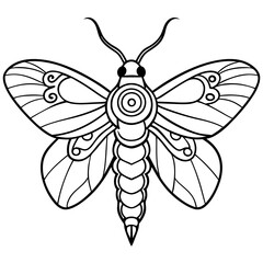 Moth with detailed wings and intricate patterns on its body vector