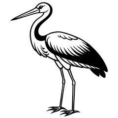 Stork standing on one leg, with long, slender legs and a beak vector