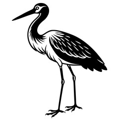 Fototapeta premium Stork standing on one leg, with long, slender legs and a beak vector