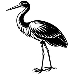 Stork standing on one leg, with long, slender legs and a beak vector