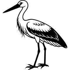 Obraz premium Stork standing on one leg, with long, slender legs and a beak vector