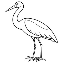Stork standing on one leg, with long, slender legs and a beak vector