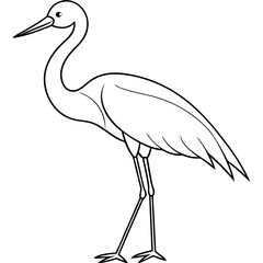 Stork standing on one leg, with long, slender legs and a beak vector