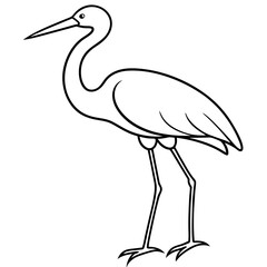 Stork standing on one leg, with long, slender legs and a beak vector
