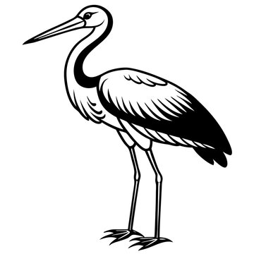 black and white stork standing clip art preview