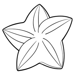 A starfruit with four petals is drawn in black. The starfruit is the main focus of the image, and the four petals are drawn in a way that emphasizes the star's shape. The image has a simple and elegan