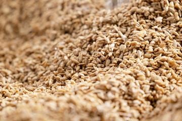 Fresh clean Sunflower kernel seeds background, oil manufacturing