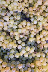 Green grapes stack in market