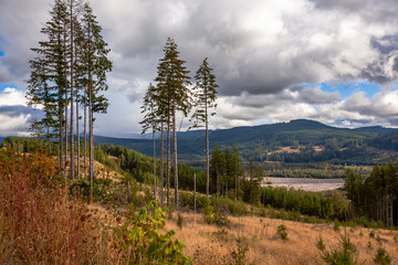 Washington State wilderness in autumn season